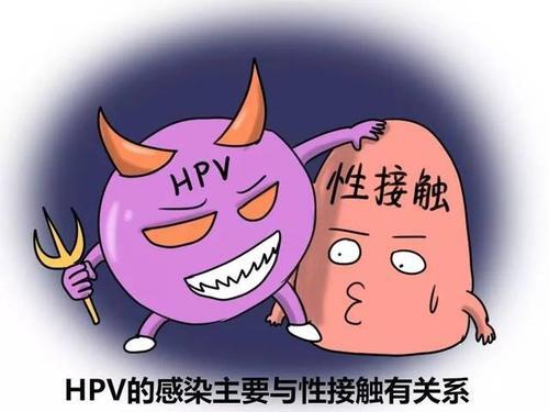 尖锐湿疣简单的调理方法【厦门广肤皮肤病专科医院官网】